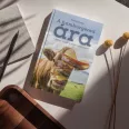 A hamburgered ára - avagy mi van a szatyorban, husi?