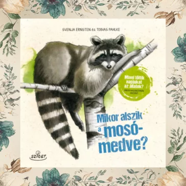   Mikor alszik a mosómedve? - Mivel töltik napjukat az állatok? Miben hasonlítanak hozzád?