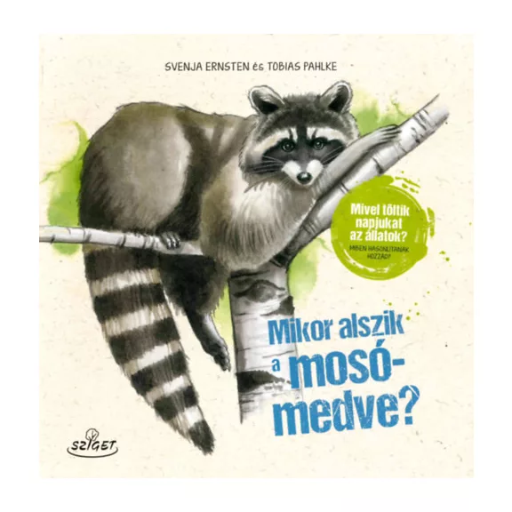 Mikor alszik a mosómedve? - Mivel töltik napjukat az állatok? Miben hasonlítanak hozzád?