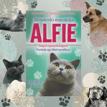   Mindenki macskája, Alfie - Egy állati jó pszichológus kalandjai