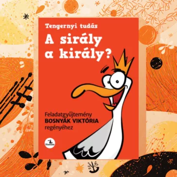   A sirály a király? - Feladatgyűjtemény Bosnyák Viktória regényéhez