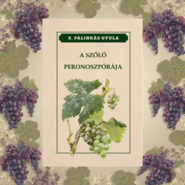 A szőlő peronoszpórája