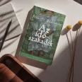 Az időszakadék