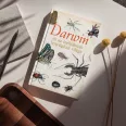 Darwin és az ízeltlábúak lenyűgöző világa