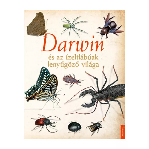 Darwin és az ízeltlábúak lenyűgöző világa