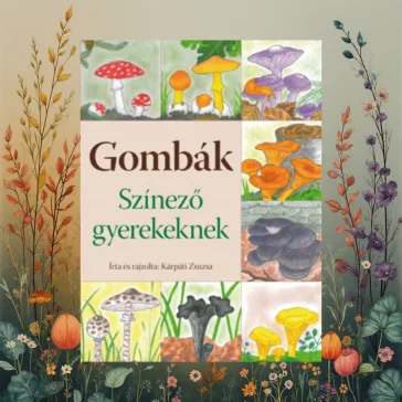 Gombák - Színező gyerekeknek