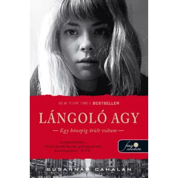 Lángoló agy - Egy hónapig őrült voltam