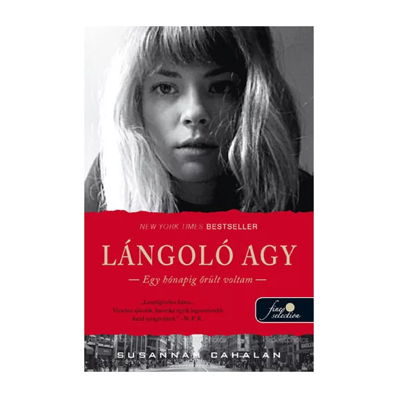Lángoló agy - Egy hónapig őrült voltam