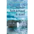   Mikor feltámad a szél - Megrendítő történet arról, hogyan élheti túl egy anya a gyermeke elvesztését