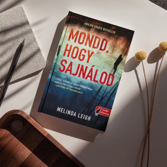 Mondd, hogy sajnálod - Morgan Dane 1.