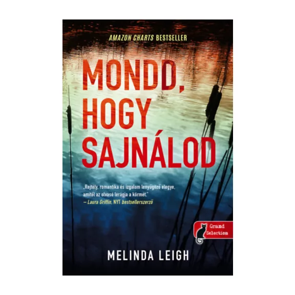 Mondd, hogy sajnálod - Morgan Dane 1.