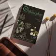 Outlander 6/1. - Hó és hamu lehelete - puha kötés