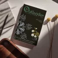 Outlander 6/2. - Hó és hamu lehelete - puha kötés