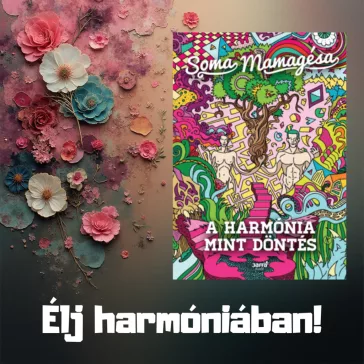 A harmónia mint döntés