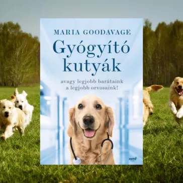   Gyógyító kutyák - avagy a legjobb barátaink a legjobb orvosaink!