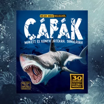 Nézd meg belülről - Cápák