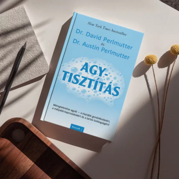 Agytisztítás