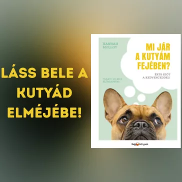 Mi jár a kutyám fejében? - Érts szót a kedvenceddel!