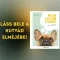 Mi jár a kutyám fejében? - Érts szót a kedvenceddel!