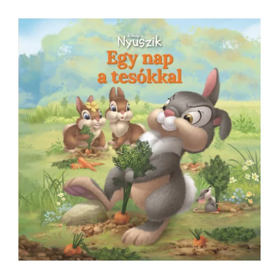 Disney Nyuszik – Egy nap a tesókkal