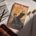 Harry Potter és a Halál ereklyéi - 7. könyv