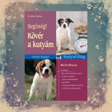   Segítség! Kövér a kutyám - Hogyan óvhatjuk meg kedvencünket az elhízástól